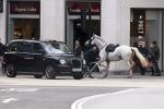 Lima Kuda Kerajaan Inggris Panik Saat Latihan Membuat Kekacauan di London 