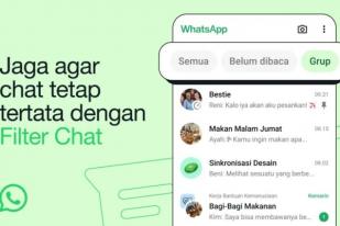 Filter Chat WhatsApp Permudah Cari Pesan Lebih Cepat