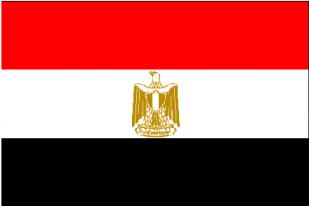 Mesir Membangun Konstitusi Inklusif