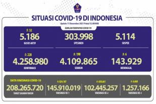 COVID-19 Indonesia, Kasus Baru: 228