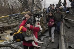 Warga Ukraina Mengungsi Bersama Peliharaan Mereka