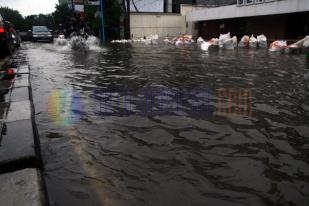 Banjir Jakarta, Puan Maharani Bela Ahok