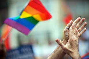 Kaukus Pancasila DPR Minta Negara Lindungi LGBT