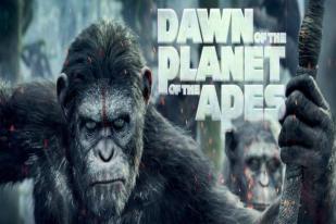 ‘Apes’ Masih Rajai Box Office Amerika Utara