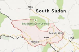 182 Meninggal dalam Ledakan Tangki Minyak di Sudan Selatan