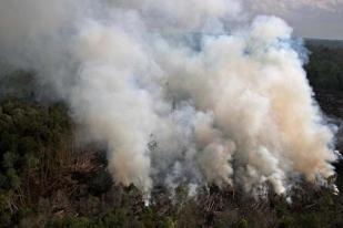 BMKG: Sejumlah Wilayah Riau Diselimuti Asap Pekat