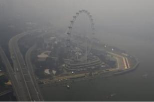 Siti Nurbaya Minta Singapura Arif Lihat Upaya Atasi Kebakaran