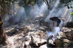 Walhi: Korporasi Pembakar Hutan Secepatnya Diproses Hukum