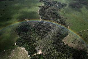 Brasil Kurangi Emisi CO2 Melalui Pengurangan Kerusakan Hutan