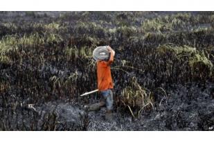 WWF: Kebakaran Hutan Indikasi Tata Kelola Lemah