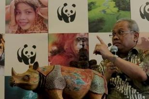 WWF: KLHK Harus Jadi Benteng Terdepan Penyelamatan Hutan