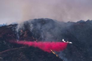 Kebakaran Hutan di California Melalap 80 Bangunan