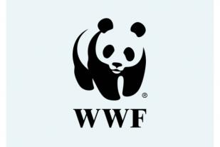 WWF Penelitian Pelestarian Habitat Burung Cenderawasih