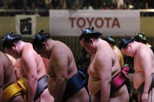 Jawara Sumo Jepang Tampil di Sumo Tournament in Jakarta 2013