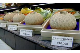 Buah Melon Mahal bagi Pengunjung Hokkaido