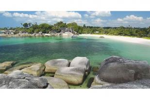 Aksi Bersih Pantai di Belitung untuk Lestarikan Pesisir dan Laut 