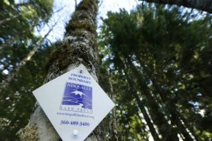 Tiga Negara Uji Coba Alat Sistem Peringatan Dini Hutan