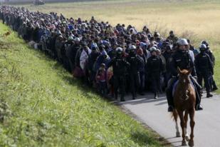 4.000 Migran dari Kroasia Masuki Slovenia