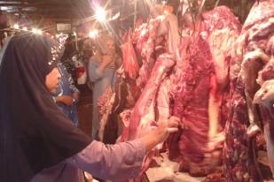 Harga Daging Kerbau dari India akan Dijual Rp 60.000/Kg