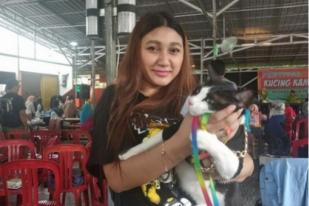 Festival Kucing Kampung di Pontianak Hadirkan Kontes Unik