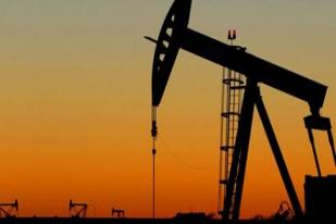 OPEC Naikkan Proyeksi Permintaan Minyak Dunia 2013