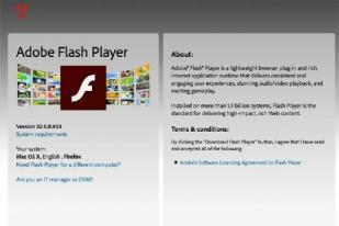 Segera Hapus Adobe Flash Player Sebelum 12 Januari