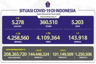COVID-19 Indonesia, Kasus Baru: 220