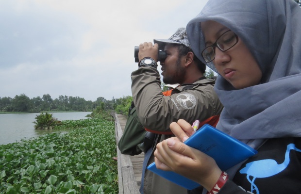 Para Pengamat Lakukan Sensus Burung Air di Pesisir Jakarta