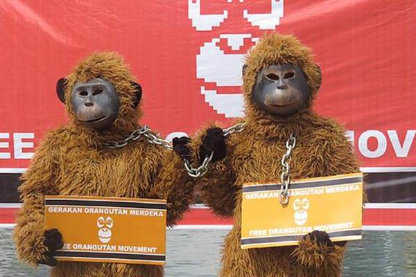 Aksi Damai Gerakan Orangutan Merdeka 