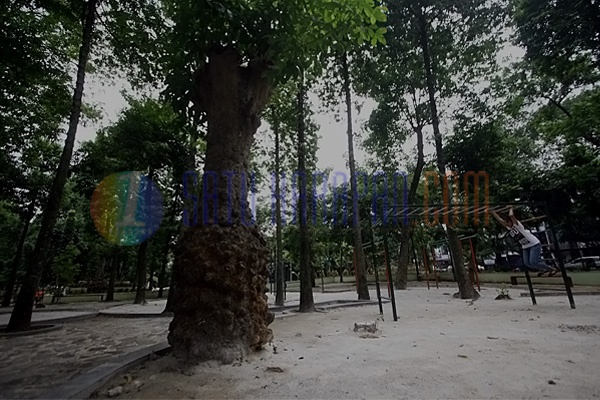 Penataan Ulang Taman di Jakarta Selatan