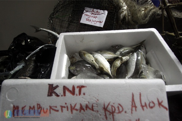 Kelompok Nelayan Jakarta Minta Moratorium Reklamasi