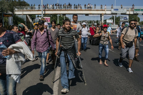 Ribuan Imigran Nekad Berjalan Kaki dari Hongaria ke Austria