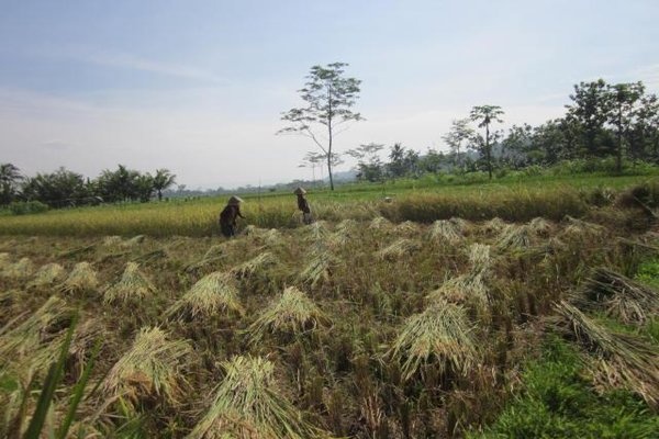 Favor Bancin: Indonesia Perlu Waspada Kiamat Ekologis