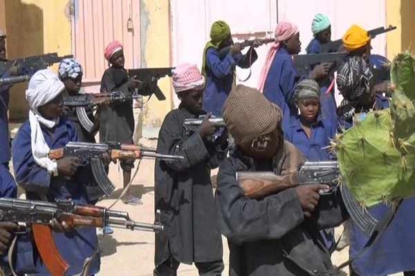 Boko Haram Operasikan Kamp Pelatihan Tentara Anak