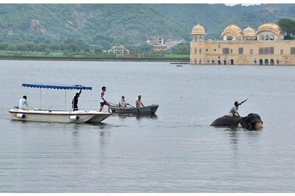 Seekor Gajah di India Hampir Tenggelam Saat Mandi di Danau