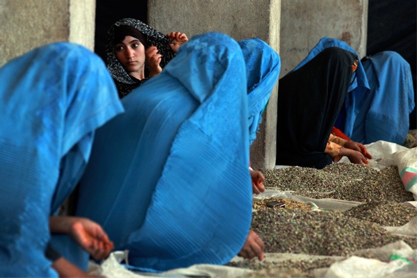 Mengintip Perempuan Afganistan di Tengah Konflik