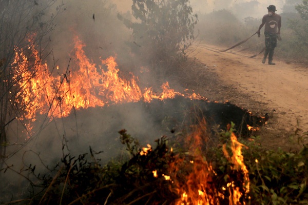 Ribuan Hektar Lahan Perkebunan di Sumsel masih Terbakar