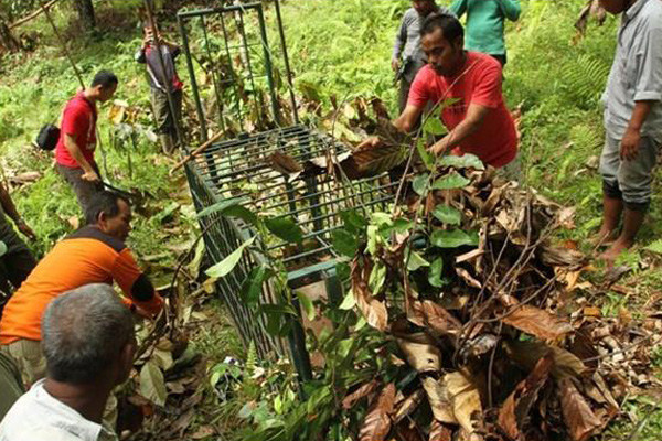 Menyelamatkan Lingkungan Indonesia