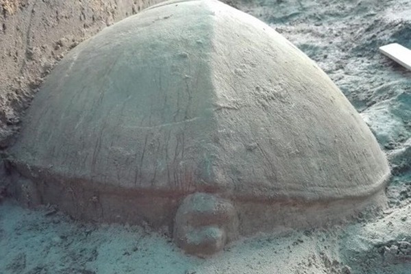 Satu Lagi Patung Kura-kura Berusia Ratusan Tahun Ditemukan di Angkor, Kamboja