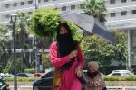 Cuaca Panas 35 Derajat Celsius Landa Kota Medan