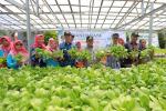 Tangerang Imbau Warga Tanam Sayur Metode Vertikal
