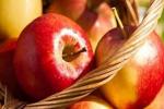 Apel dapat Cegah Penyakit Kronis
