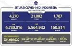 COVID-19 di Indonesia, Kasus Baru Harian: 260