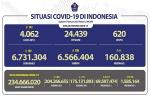 COVID-19 di Indonesia, Kasus Baru Harian: 169