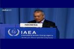 Indonesia Menjadi Anggota Dewan Gubernur Badan Tenaga Atom Internasional