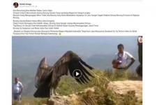 Hoaks Burung Garuda di Gunung Penanggungan Jatim