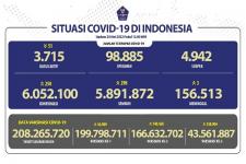 COVID-19 di Indonesia, Kasus Baru: 250