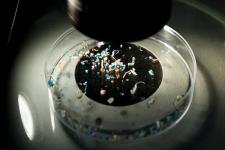 Peneliti Temukan Mikroplastik dalam Pembuluh Darah Manusia