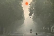 India Hadapi Gelombang Udara Panas Tinggi Hingga 47 Derajat Celcius
