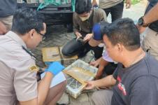 Lampung Gagalkan Penyelundupan 2.540 Ekor Burung